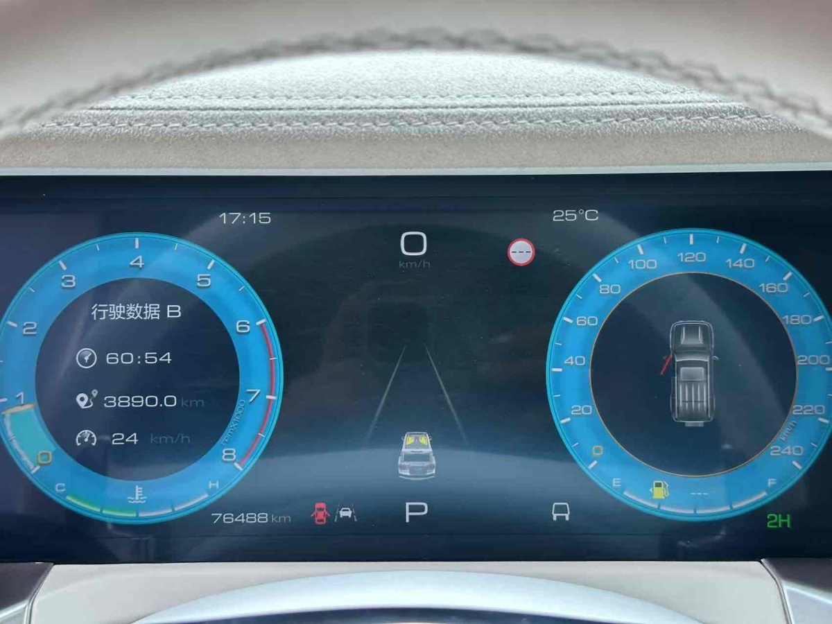 坦克 坦克300共創(chuàng)  2023款 2.0T 賽博騎士圖片