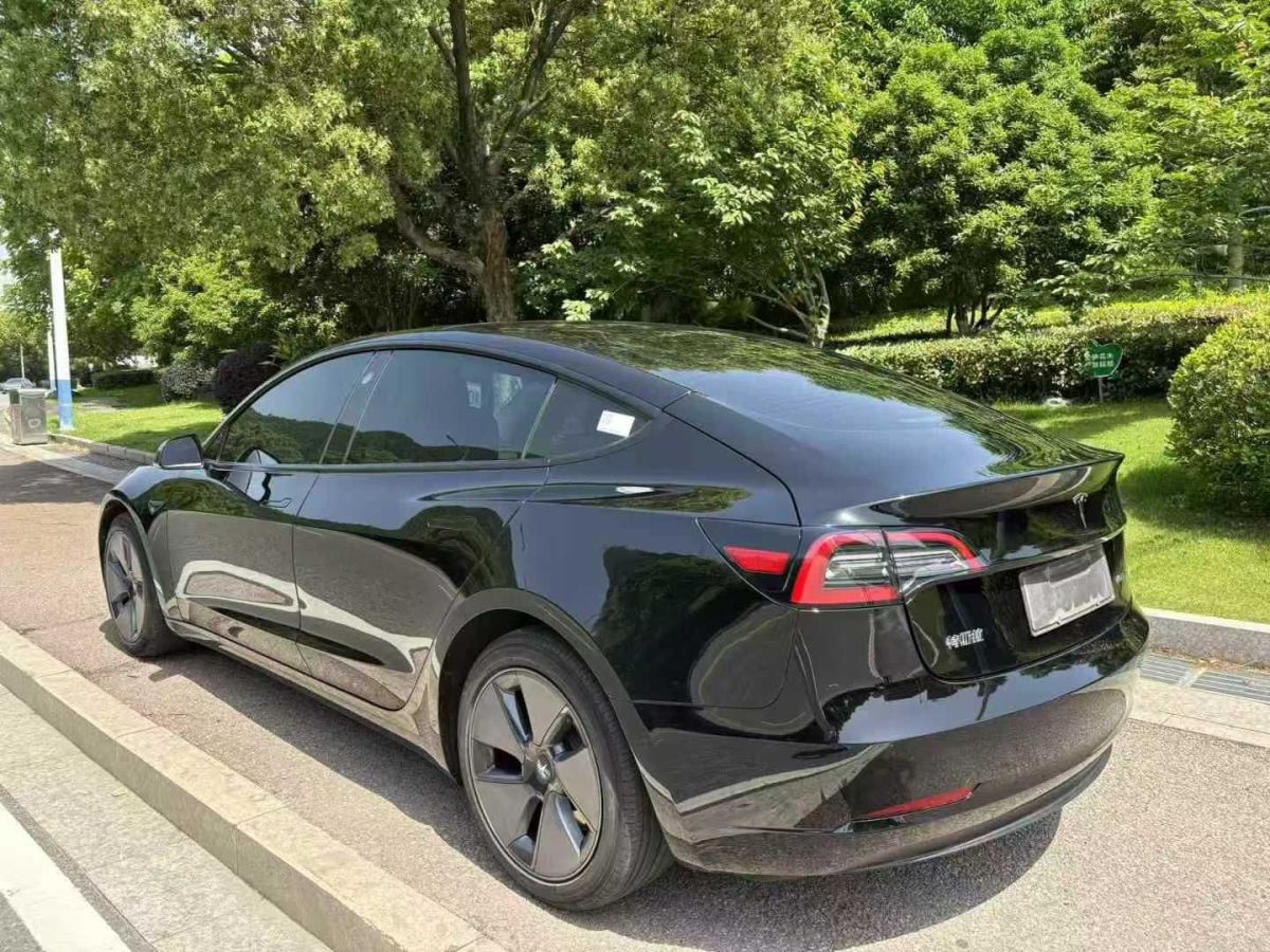 特斯拉 Model S  2021款 Performance 高性能版圖片