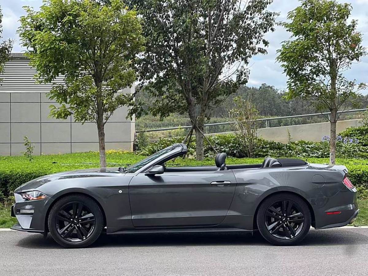 2020年4月福特 Mustang  2019款 2.3L EcoBoost