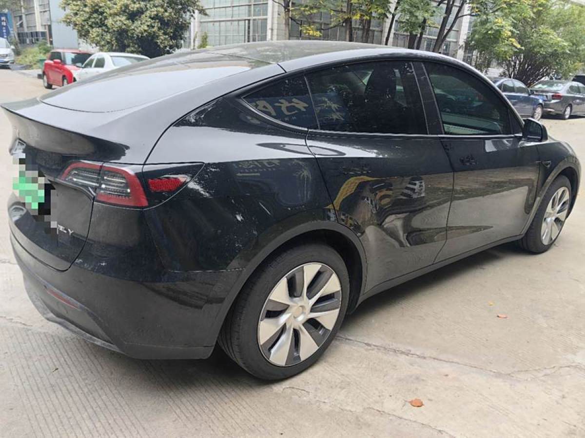 特斯拉 Model Y  2020款 改款 長(zhǎng)續(xù)航后輪驅(qū)動(dòng)版圖片