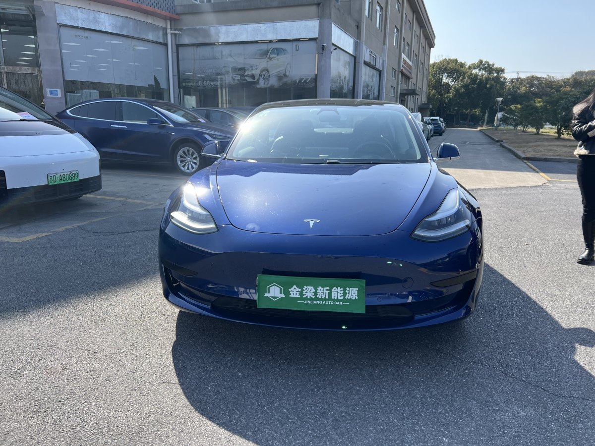 特斯拉 Model 3  2019款 標(biāo)準(zhǔn)續(xù)航后驅(qū)升級版圖片