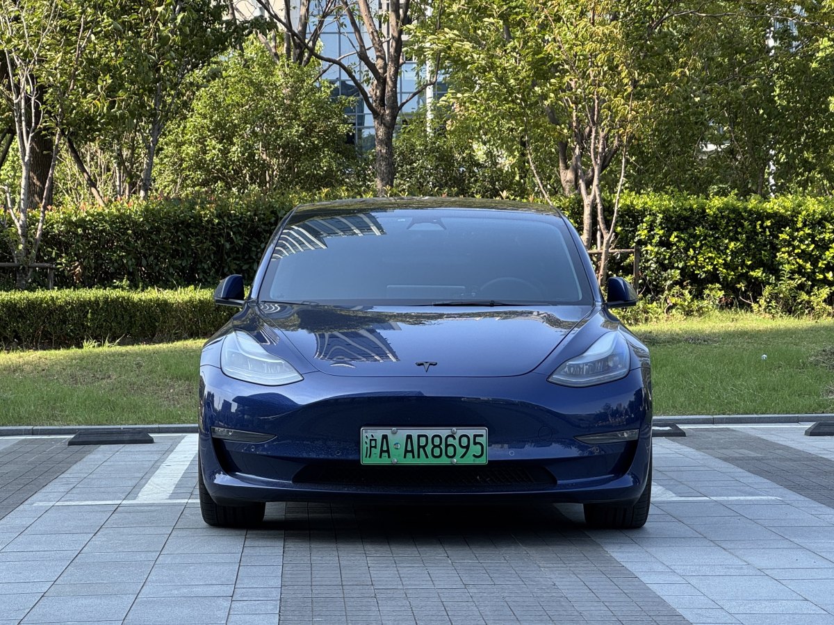 2022年3月特斯拉 Model 3  2019款 Performance高性能全輪驅(qū)動(dòng)版