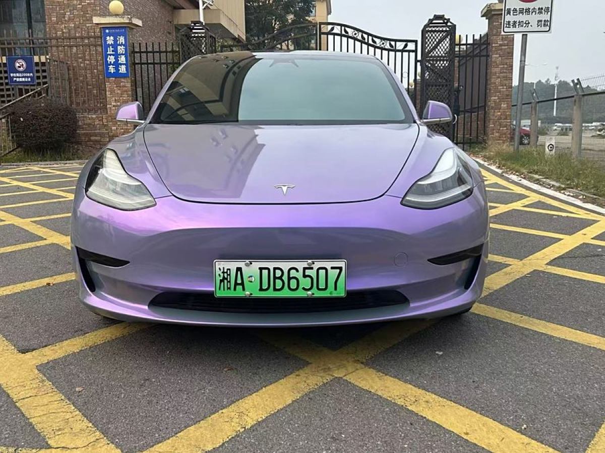 特斯拉 Model 3  2019款 標(biāo)準(zhǔn)續(xù)航后驅(qū)升級(jí)版圖片