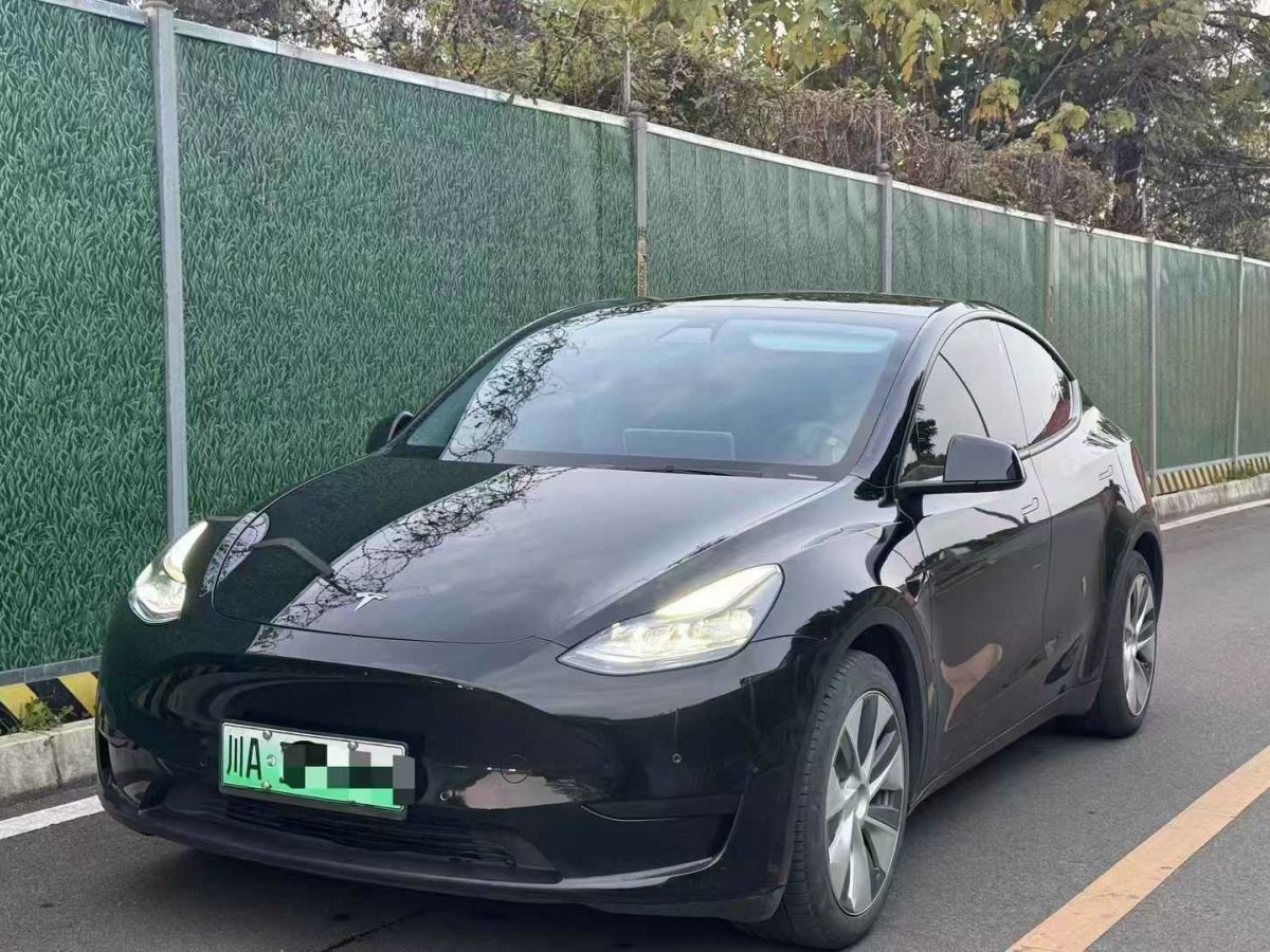 特斯拉 Model 3  2022款 Performance高性能全輪驅(qū)動版圖片