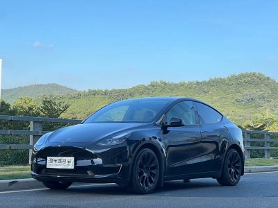 2021年11月 特斯拉 Model Y 改款 標(biāo)準(zhǔn)續(xù)航后驅(qū)升級(jí)版圖片