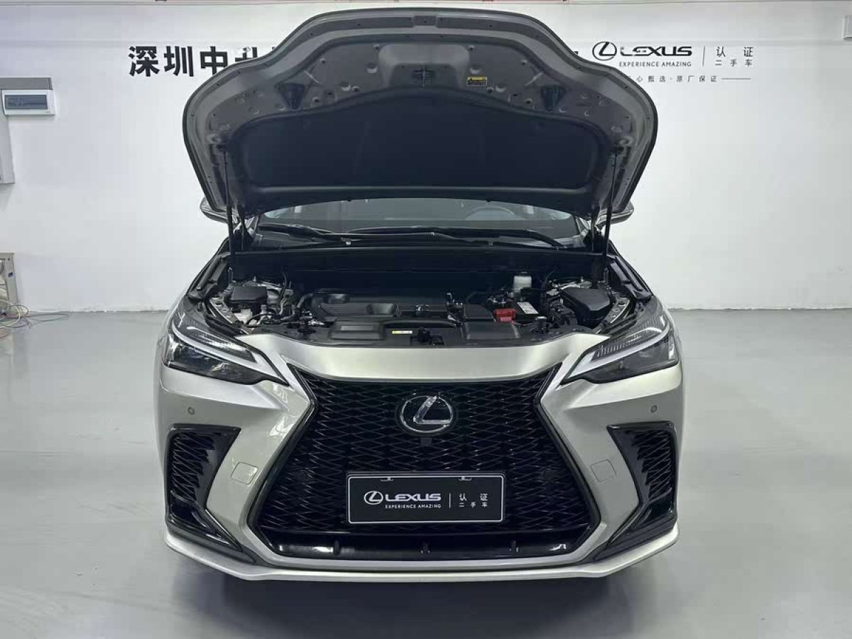 雷克薩斯 NX  2022款 260 前驅(qū) 創(chuàng)馳版圖片
