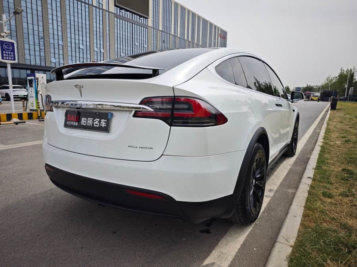 特斯拉 Model X  2019款 長續(xù)航版圖片