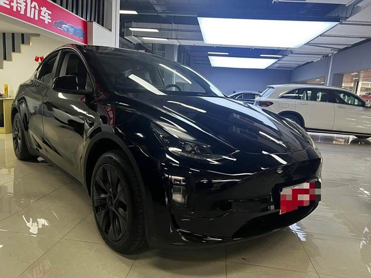 特斯拉 Model 3  2020款 改款 長續(xù)航后輪驅(qū)動(dòng)版圖片