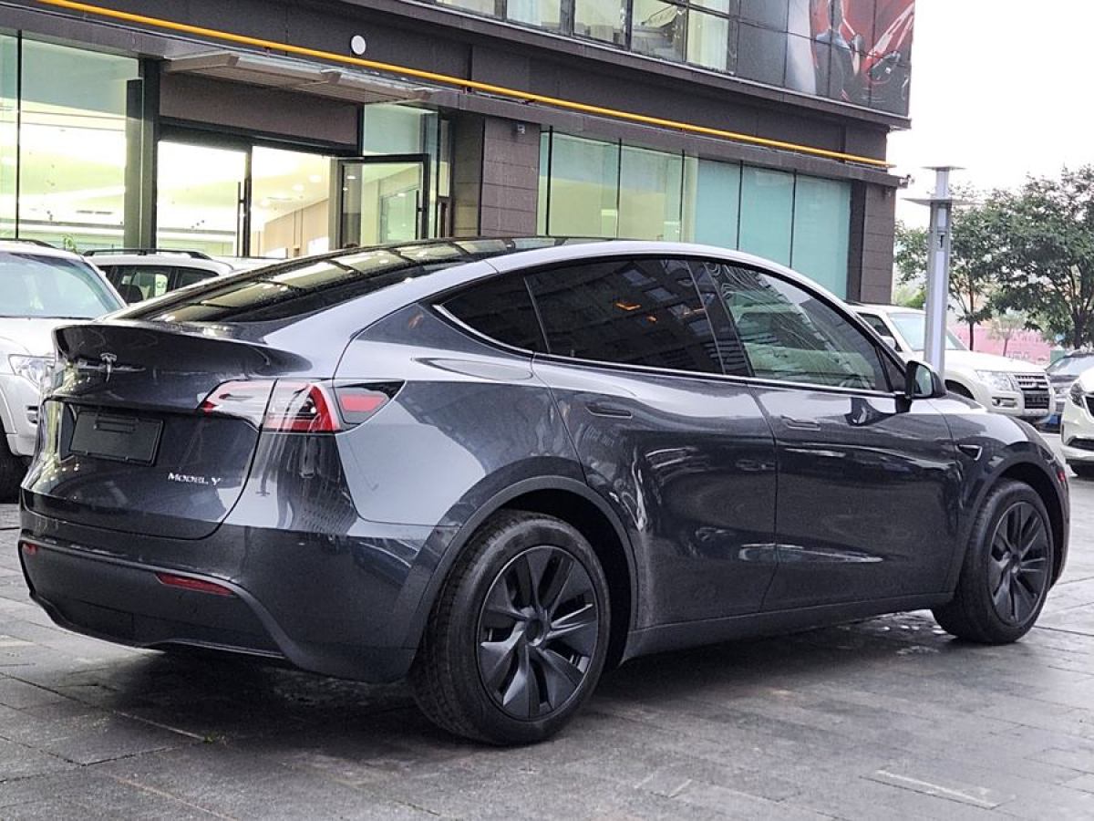 特斯拉 Model Y  2020款 改款 長(zhǎng)續(xù)航后輪驅(qū)動(dòng)版圖片