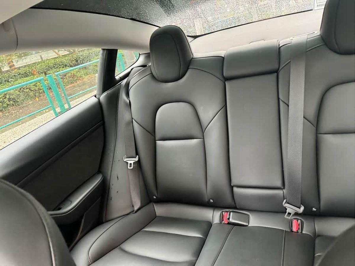 特斯拉 Model 3  2022款 后輪驅(qū)動版圖片