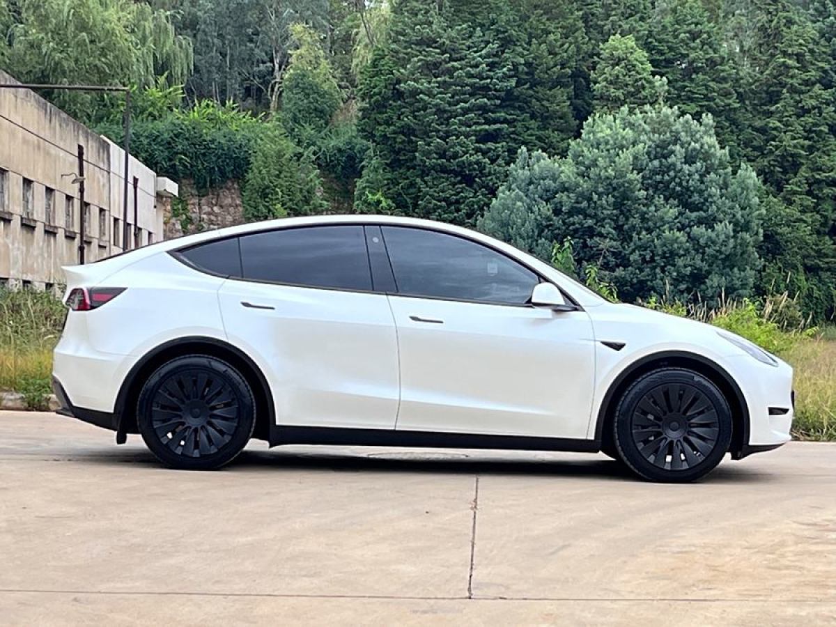 特斯拉 Model Y  2020款 改款 長(zhǎng)續(xù)航后輪驅(qū)動(dòng)版圖片