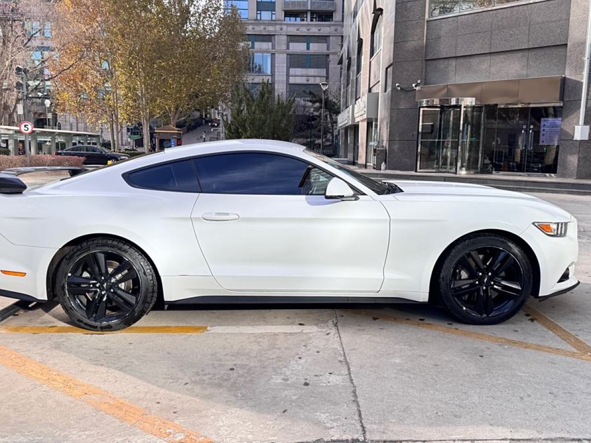 福特 Mustang  2016款 2.3T 運動版圖片