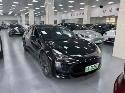 2021年3月 特斯拉 Model 3 標(biāo)準(zhǔn)續(xù)航后驅(qū)升級(jí)版 3D6圖片