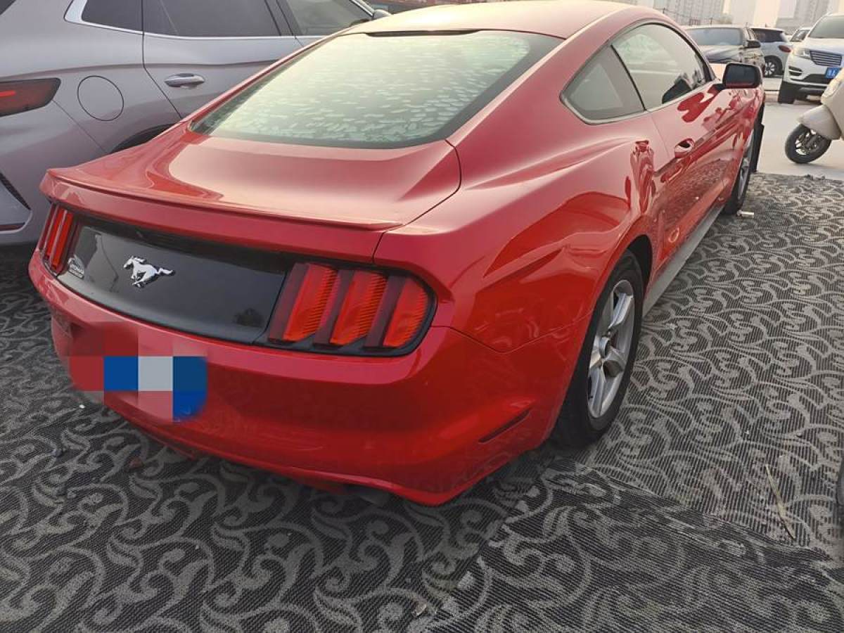 福特 Mustang  2015款 2.3T 性能版圖片