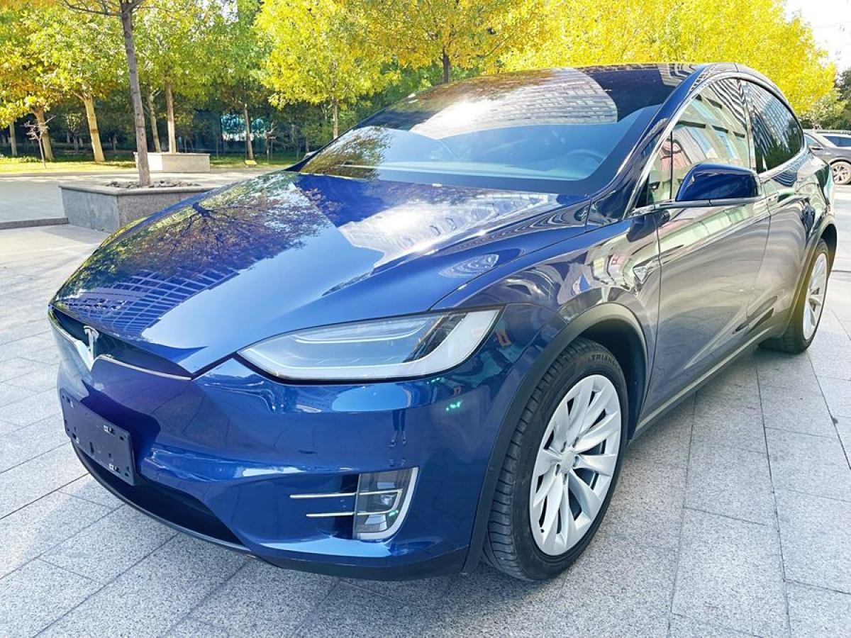 特斯拉 Model X  2016款 Model X 90D圖片