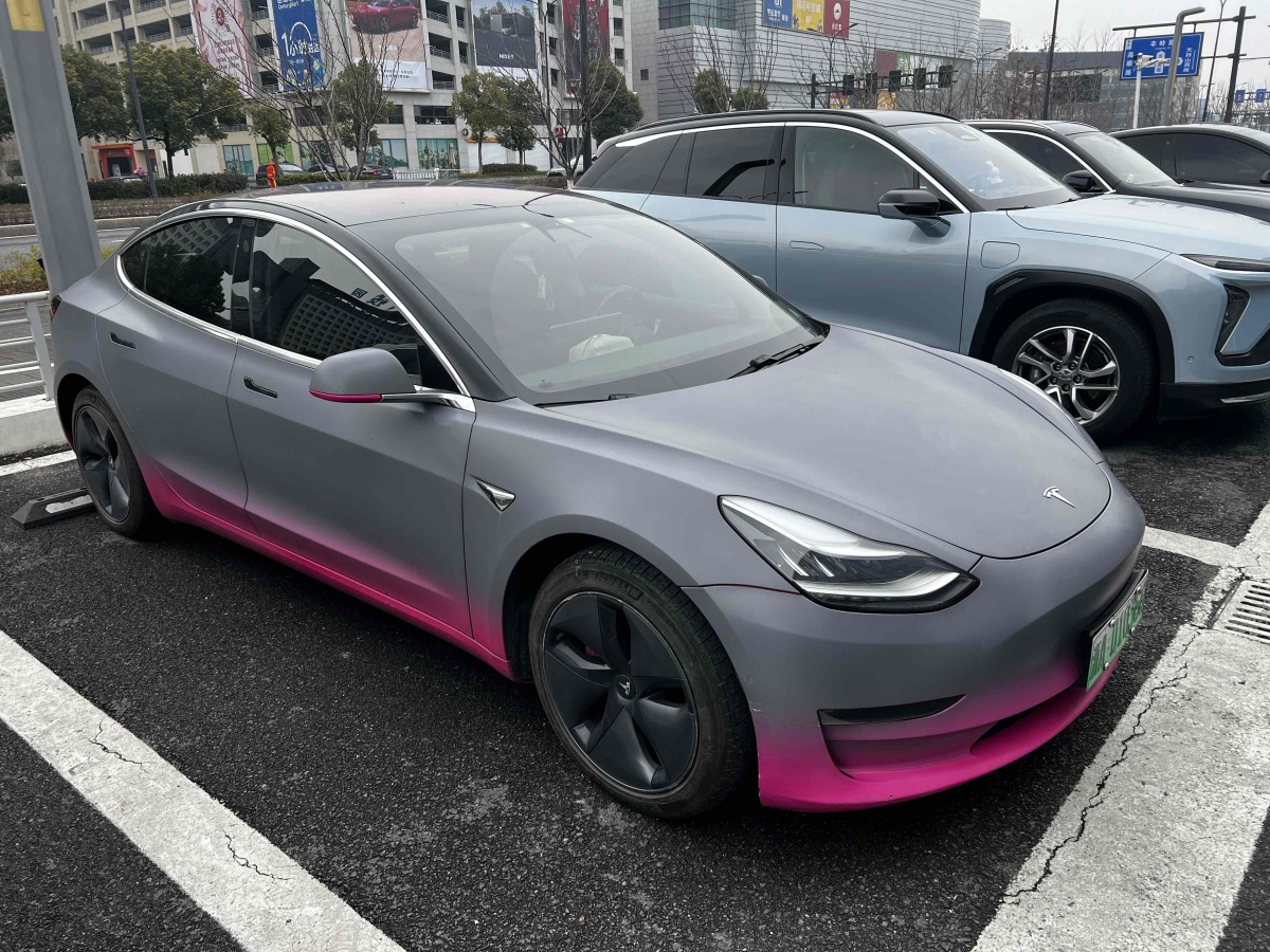 特斯拉 Model 3  2019款 長續(xù)航后驅(qū)版圖片