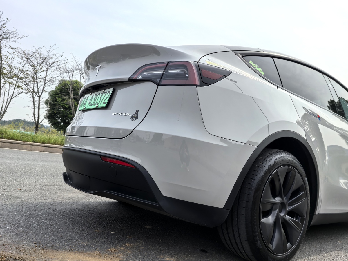 特斯拉 Model Y  2020款 改款 長(zhǎng)續(xù)航后輪驅(qū)動(dòng)版圖片