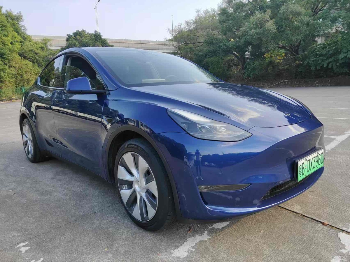 特斯拉 Model Y  2021款 改款 標準續(xù)航后驅(qū)升級版圖片