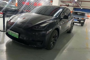 Model Y 特斯拉 后轮驱动版