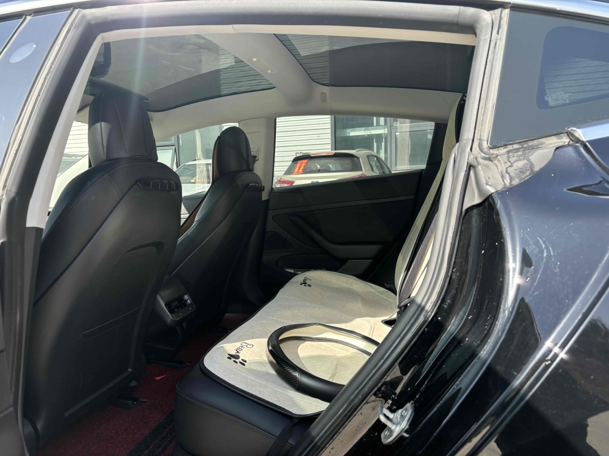 特斯拉 Model 3  2019款 標準續(xù)航后驅(qū)升級版圖片