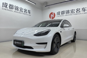 Model 3 特斯拉 后轮驱动版