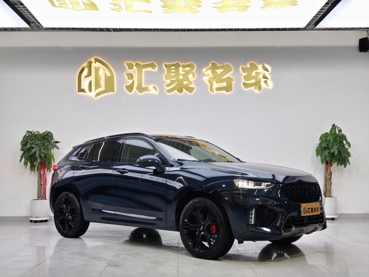 WEY VV7  2019款 升級(jí)款 2.0T 旗艦型圖片