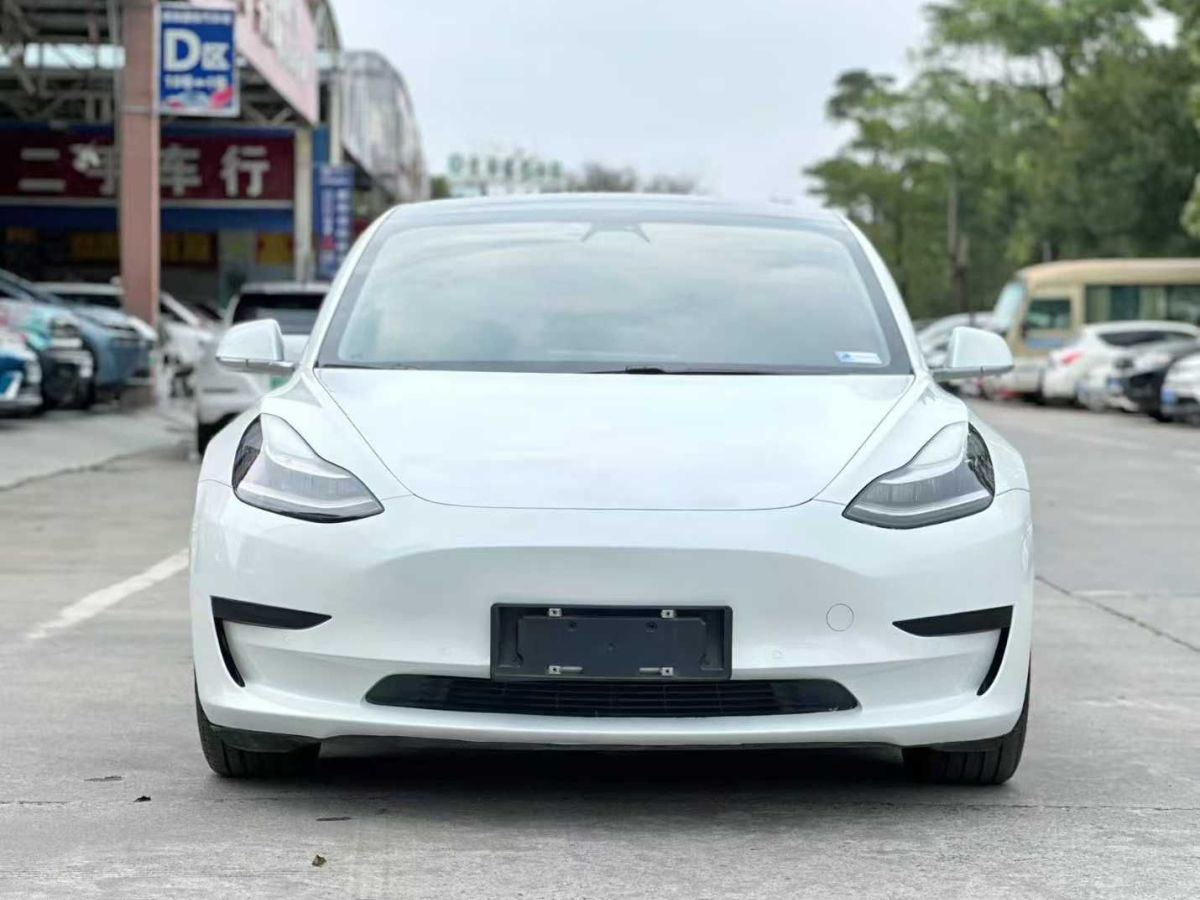 2021年1月特斯拉 Model Y  2021款 標(biāo)準(zhǔn)續(xù)航后驅(qū)版