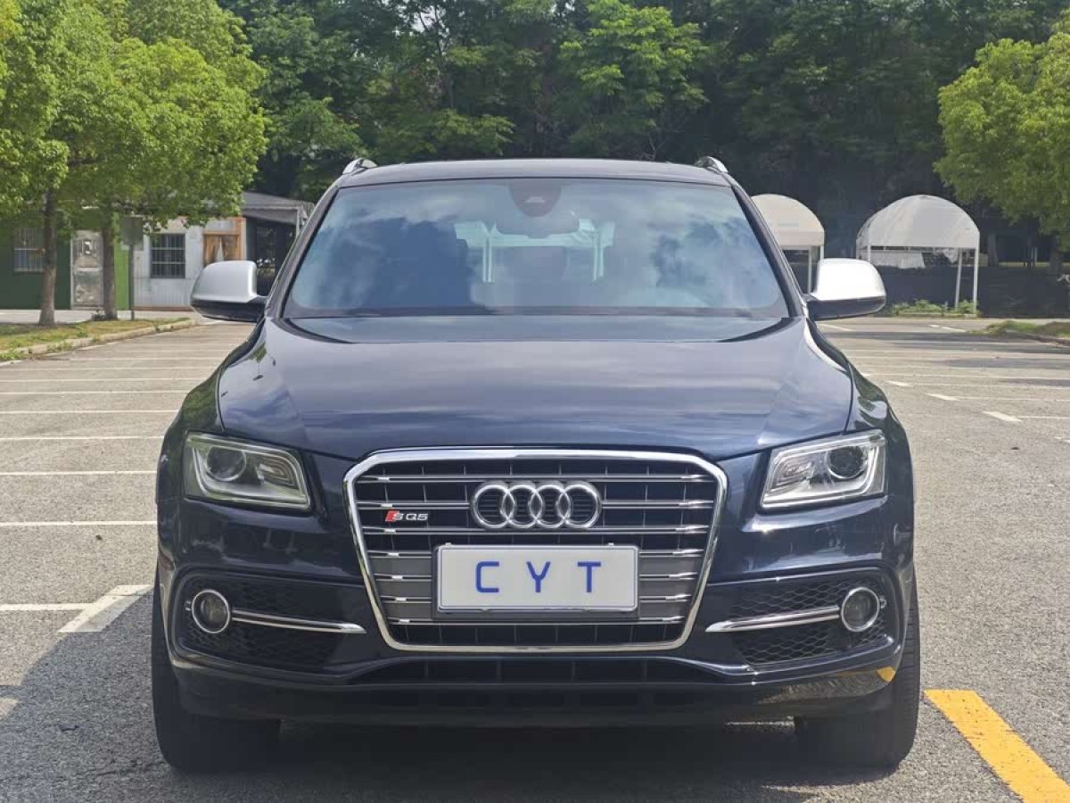 奧迪 奧迪SQ5  2014款 SQ5 3.0 TFSI quattro圖片