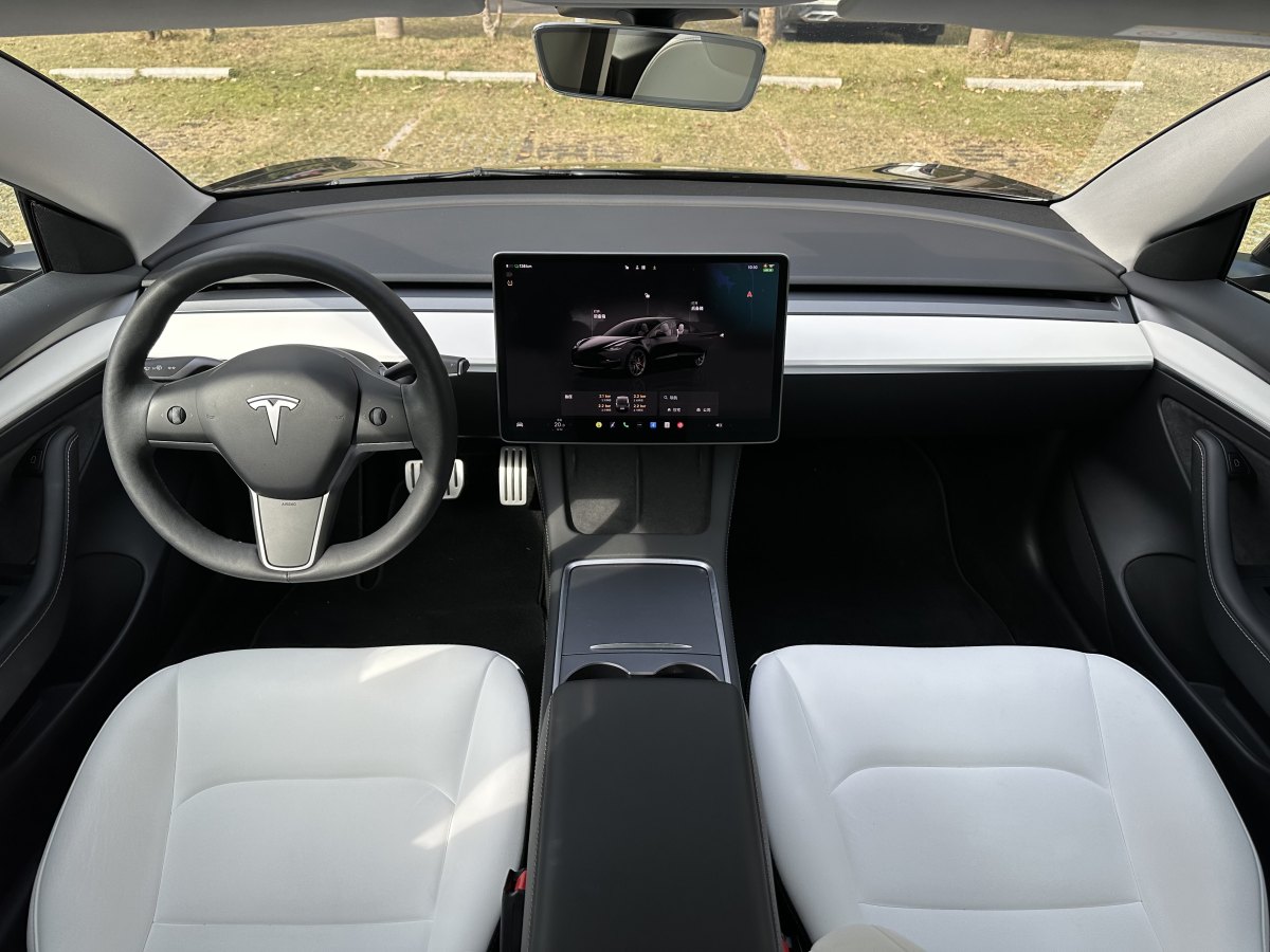 特斯拉 Model 3  2019款 Performance高性能全輪驅(qū)動版圖片