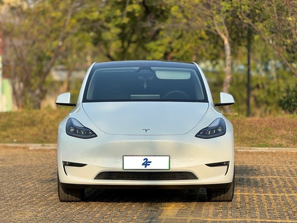 特斯拉 Model Y  2024款 長續(xù)航全輪驅(qū)動(dòng)版圖片