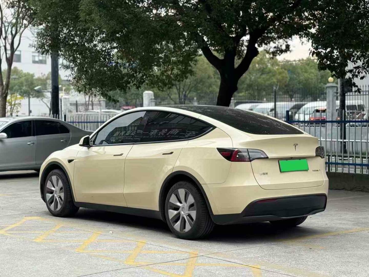 特斯拉 Model Y  2022款 后驅(qū)版圖片