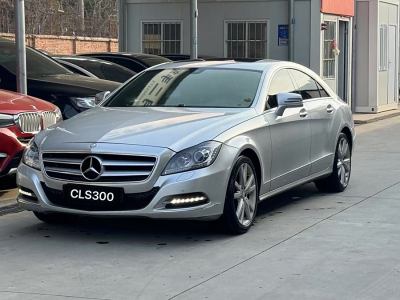 2013年4月 奔馳 奔馳CLS級(jí)(進(jìn)口) CLS 300 CGI圖片