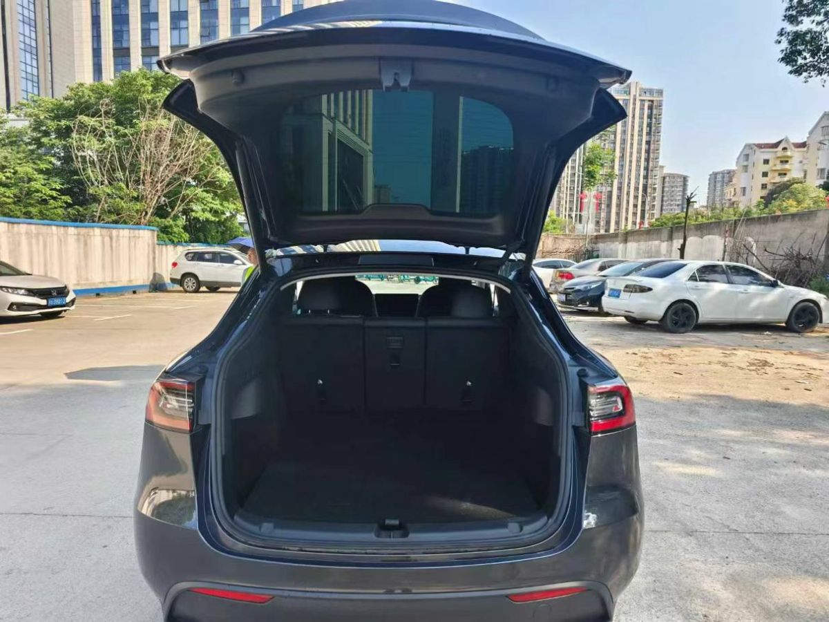特斯拉 Model Y  2024款 Performance高性能版圖片