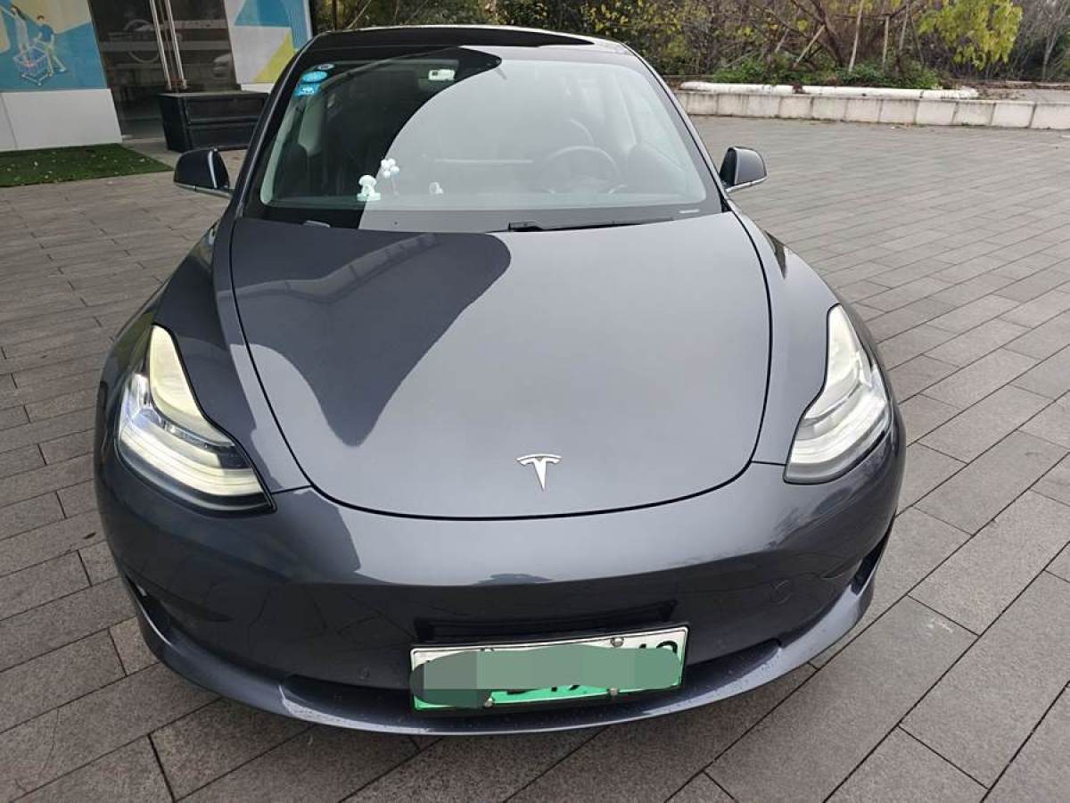 特斯拉 Model 3  2019款 標(biāo)準(zhǔn)續(xù)航后驅(qū)升級版圖片