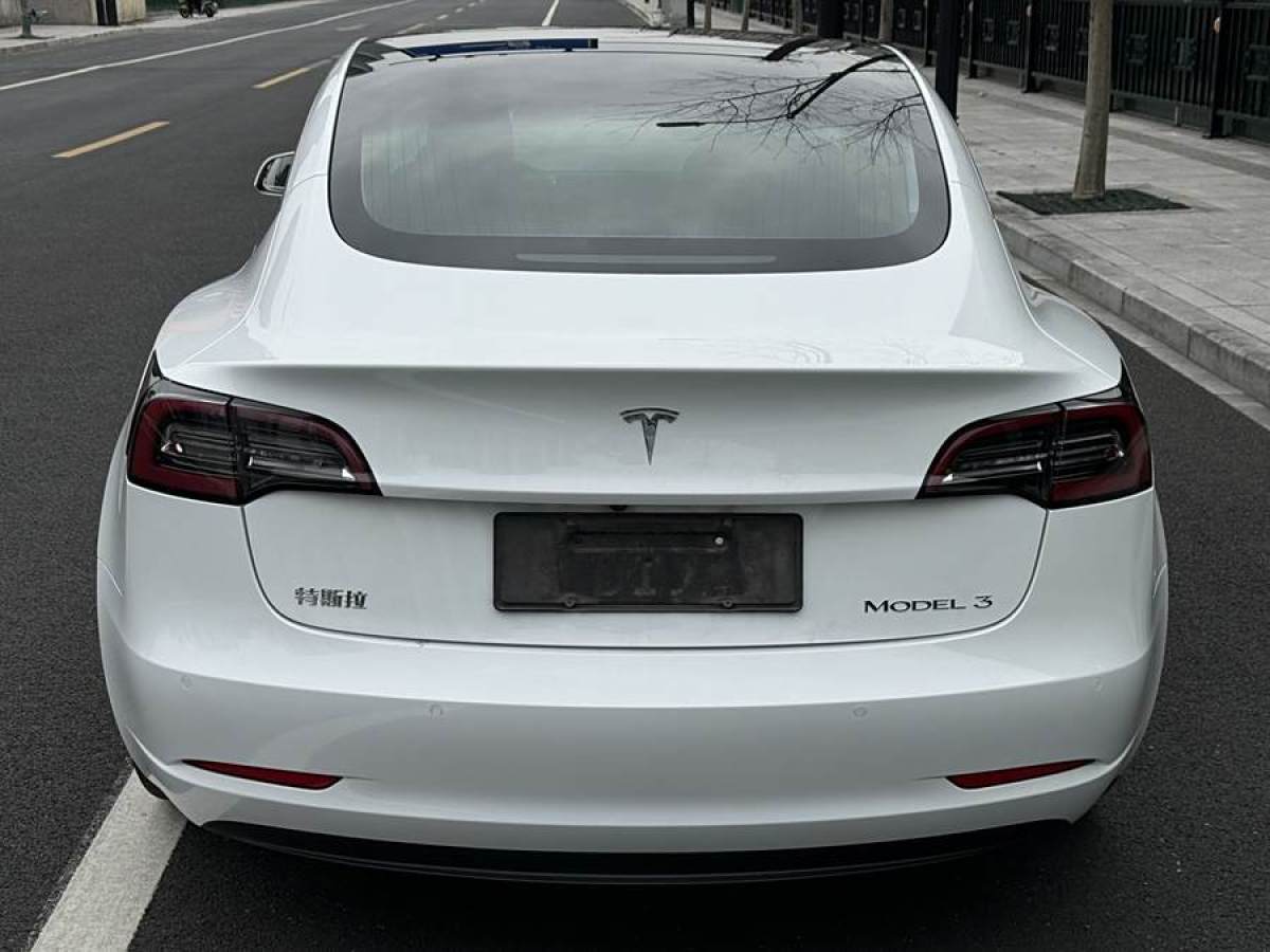 特斯拉 Model 3  2020款 改款 標(biāo)準(zhǔn)續(xù)航后驅(qū)升級(jí)版圖片