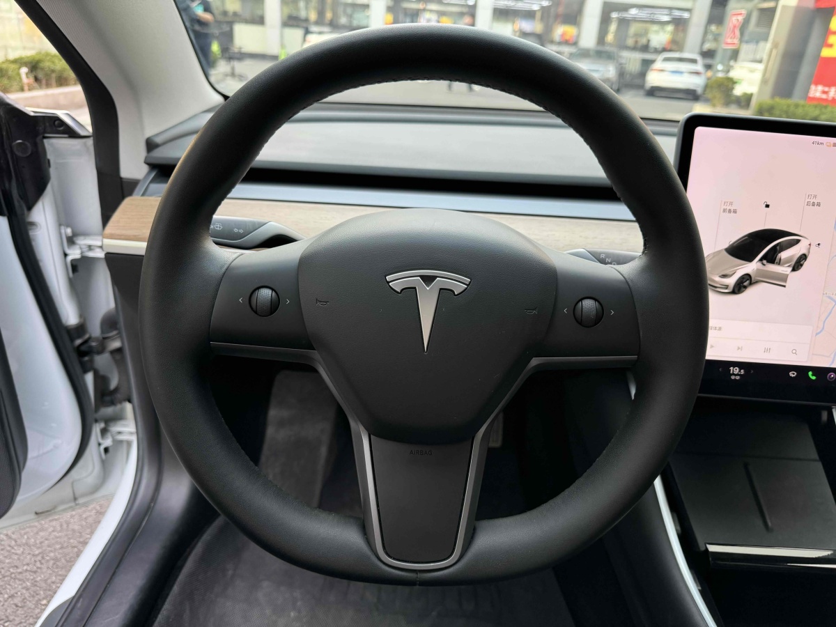 特斯拉 Model 3  2019款 標(biāo)準(zhǔn)續(xù)航后驅(qū)升級(jí)版圖片