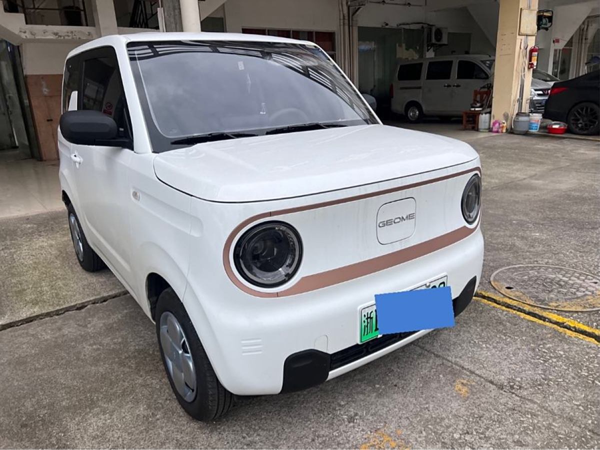 吉利 熊猫mini  2024款 熊猫mini 200km 龙腾版图片