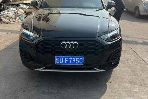 奧迪Q5 e-tron 奧迪 50 e-tron quattro 光耀型 機(jī)甲套裝