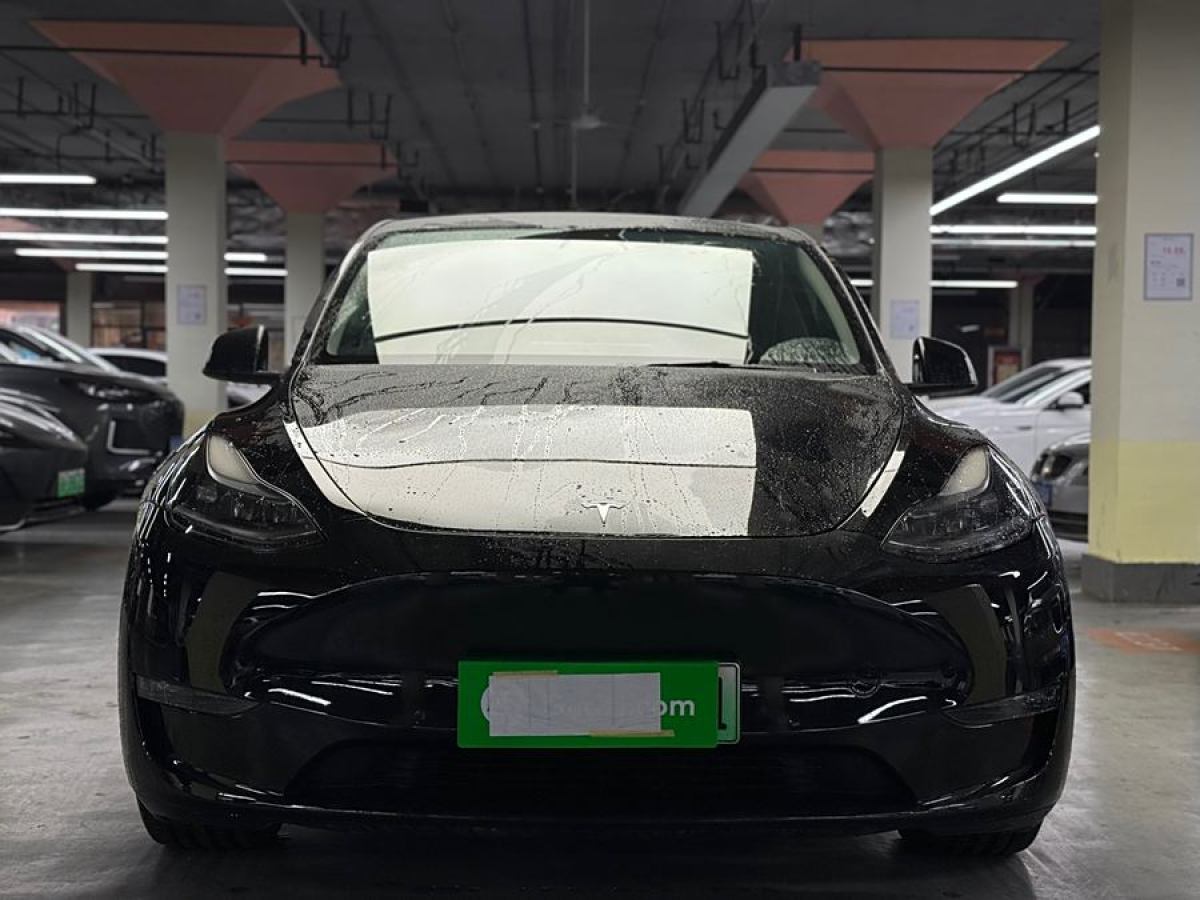 特斯拉 Model 3  2021款 改款 Performance高性能全輪驅(qū)動版圖片