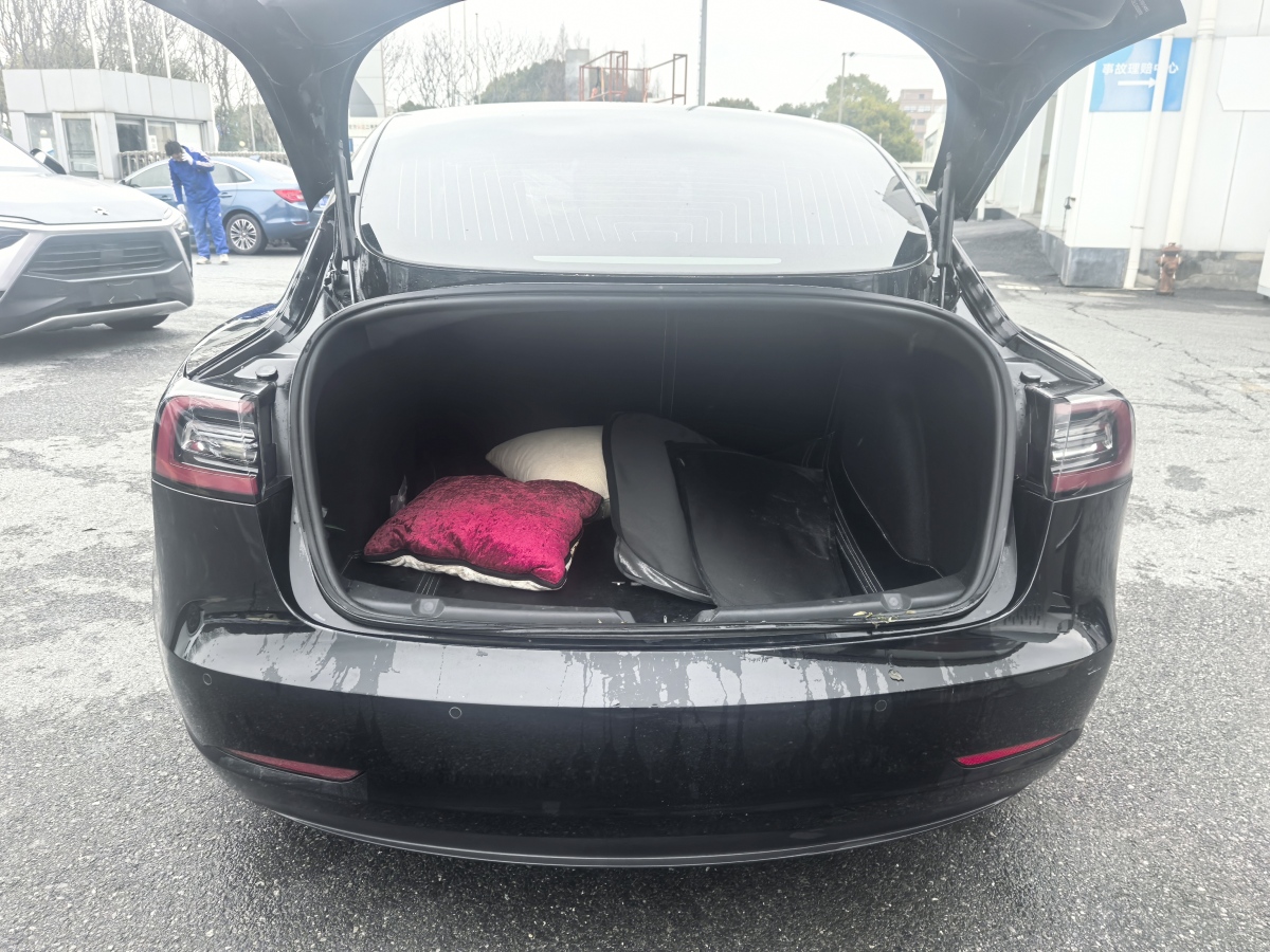 特斯拉 Model 3  2019款 標(biāo)準(zhǔn)續(xù)航后驅(qū)升級(jí)版圖片