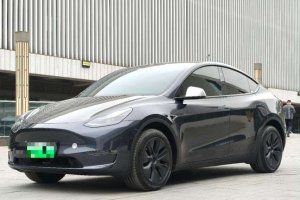Model Y 特斯拉 后輪驅(qū)動(dòng)版