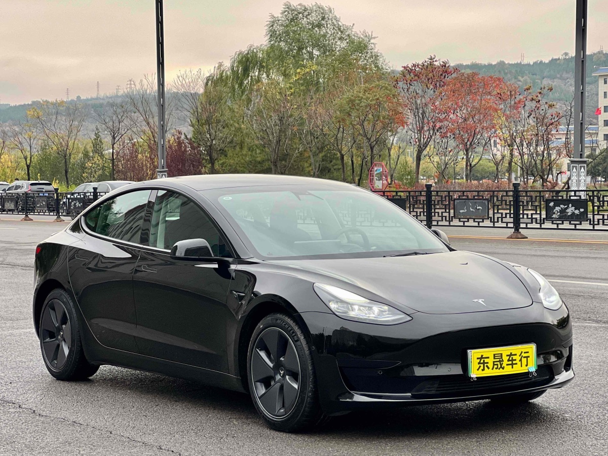 特斯拉 Model 3  2019款 標準續(xù)航后驅(qū)升級版圖片