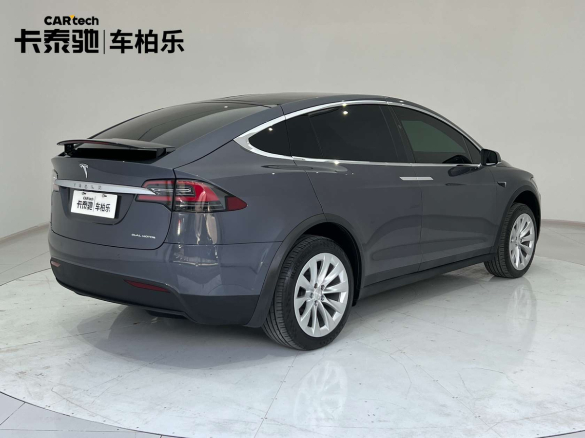 特斯拉 Model X  2020款 长续航升级版图片