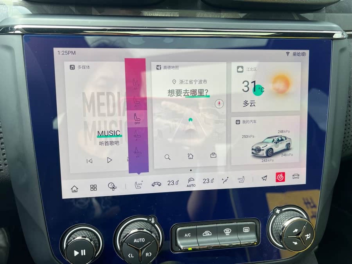 領(lǐng)克 領(lǐng)克03  2022款 03+ 2.0TD 自動馭風(fēng)版圖片