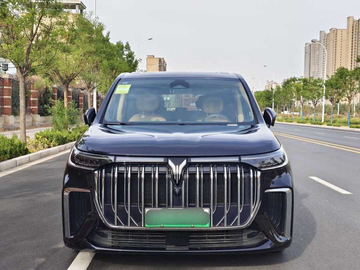 嵐圖 夢(mèng)想家  2024款 PHEV 超長(zhǎng)續(xù)航尊貴版圖片