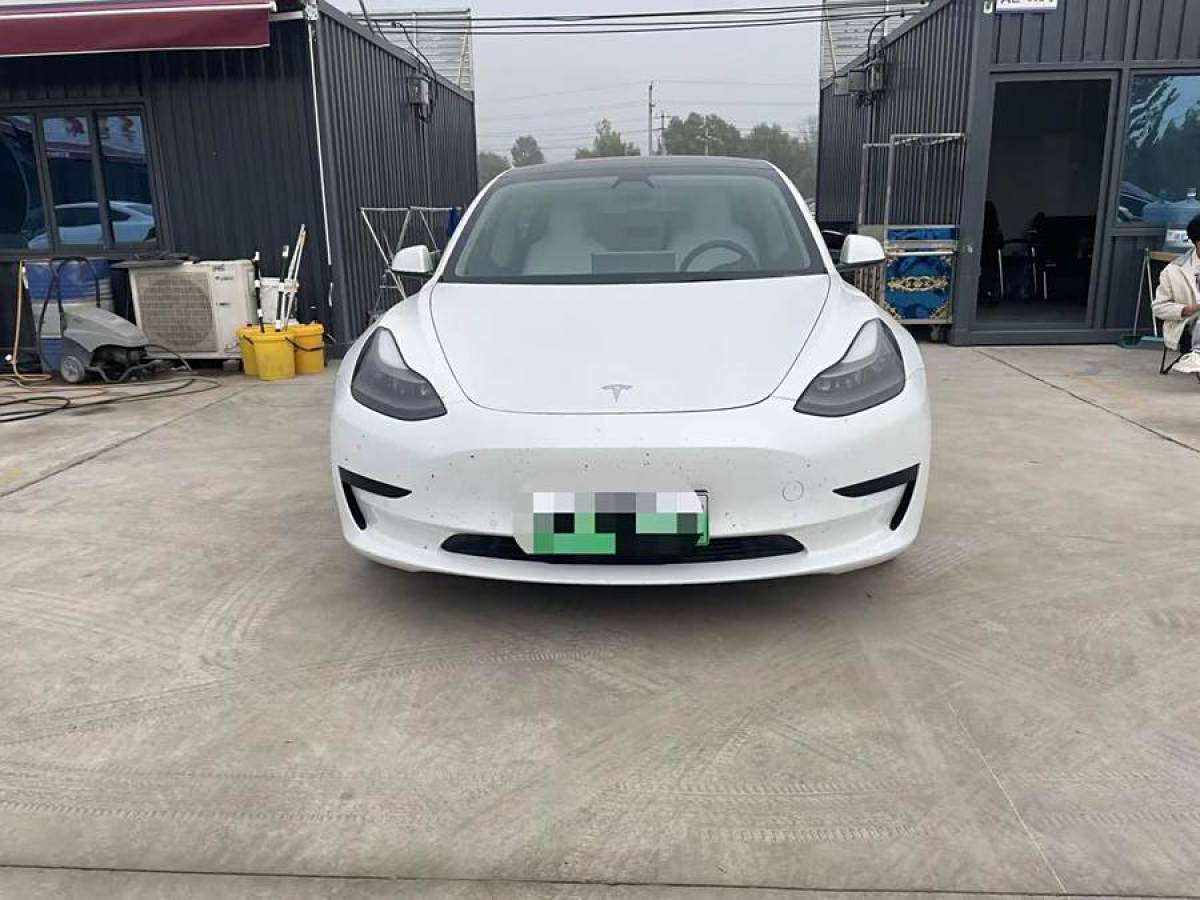 特斯拉 Model Y  2021款 改款 標準續(xù)航后驅(qū)升級版圖片