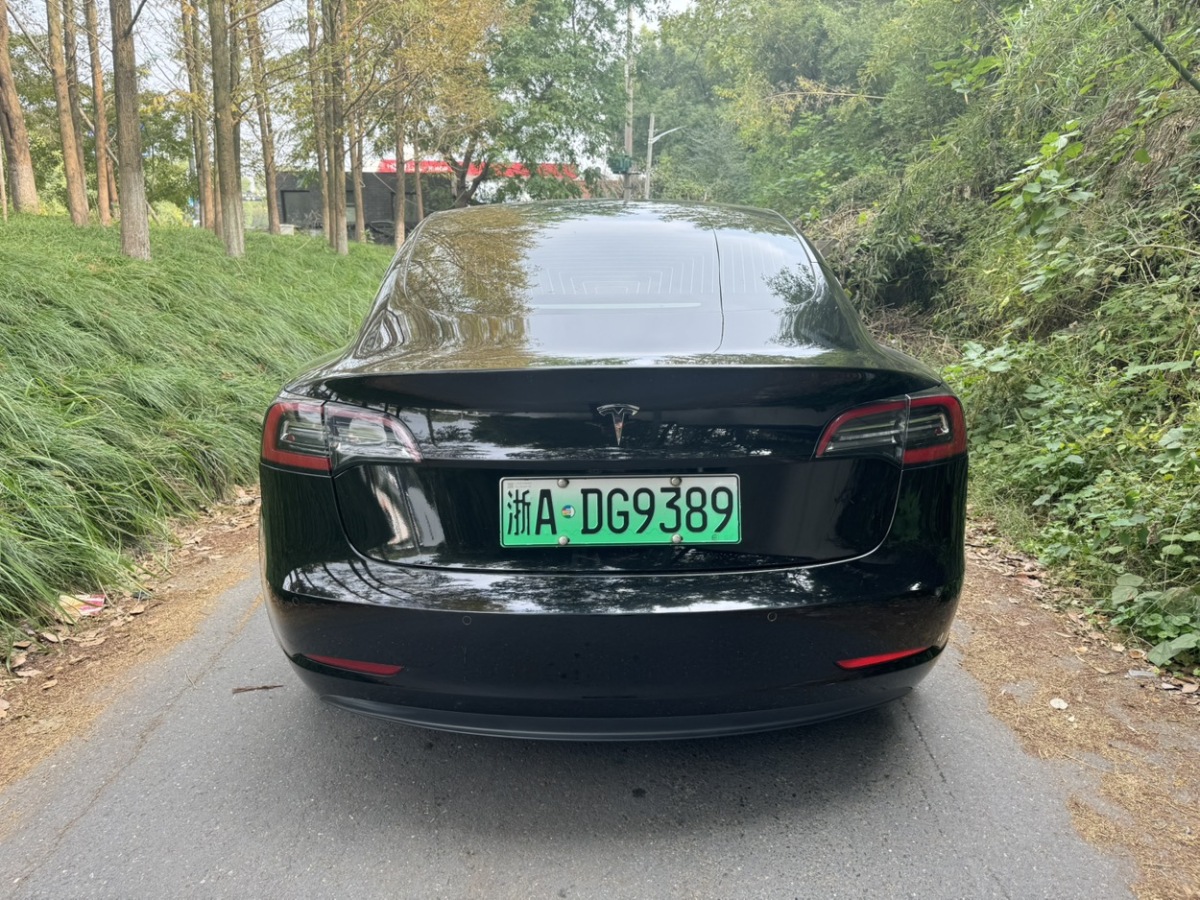 特斯拉 Model 3  2019款 長(zhǎng)續(xù)航后驅(qū)版圖片