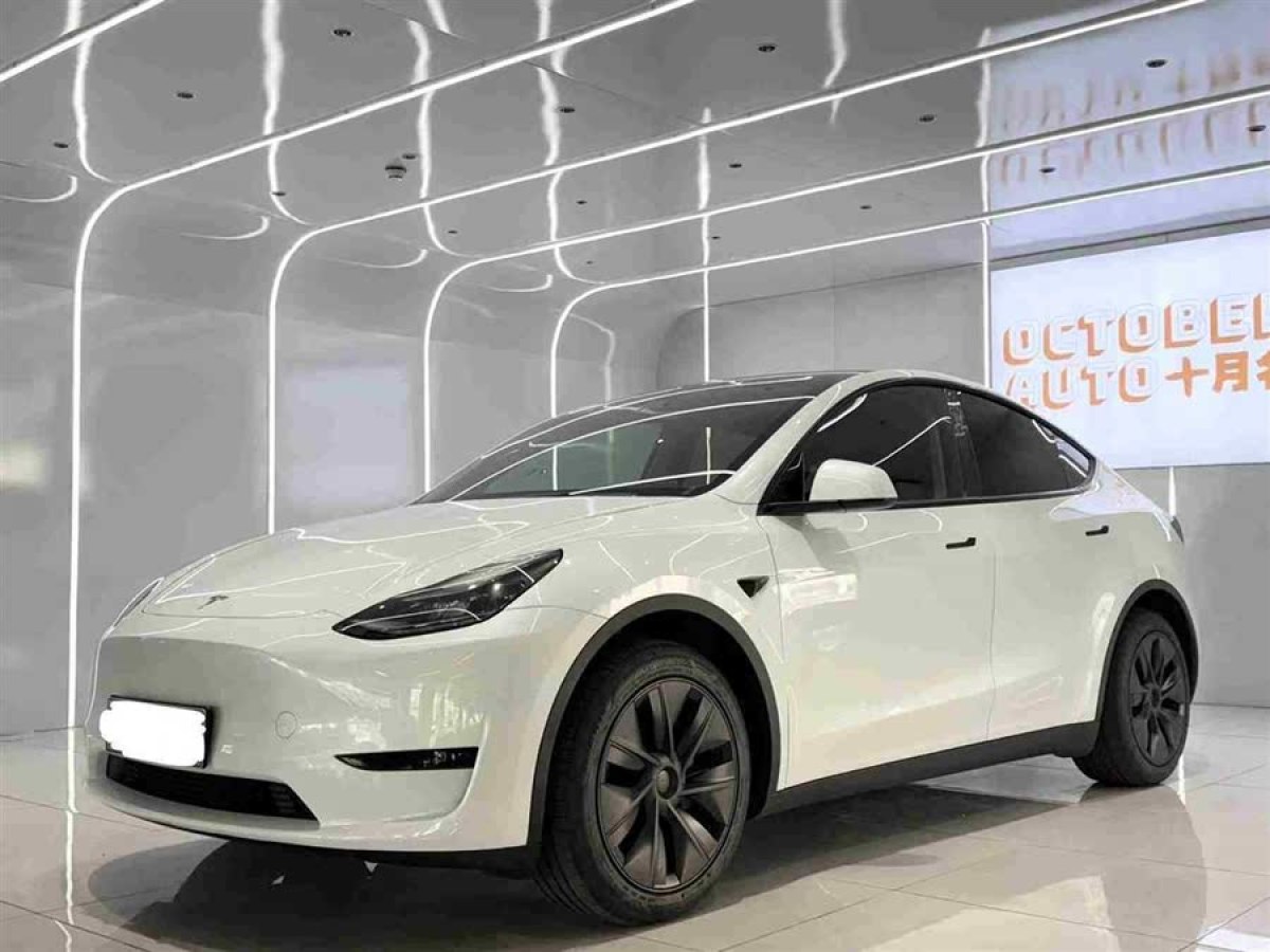 特斯拉 Model Y  2024款 后輪驅(qū)動版圖片