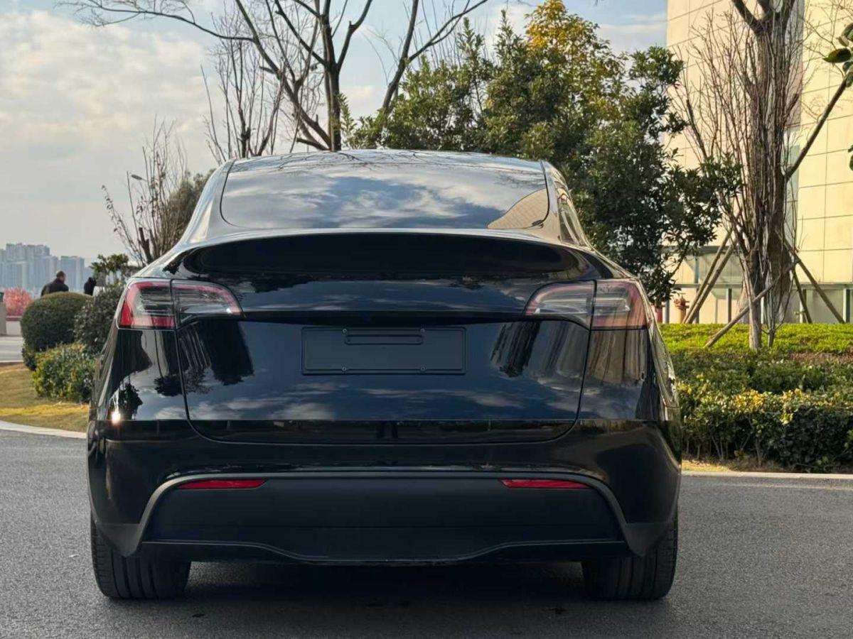 特斯拉 Model S  2023款 三電機(jī)全輪驅(qū)動(dòng) Plaid版圖片