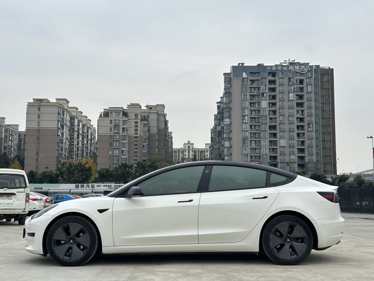 特斯拉 Model 3  2019款 標(biāo)準(zhǔn)續(xù)航后驅(qū)升級版圖片